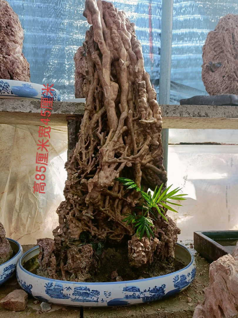 纯天然吸水石盆景