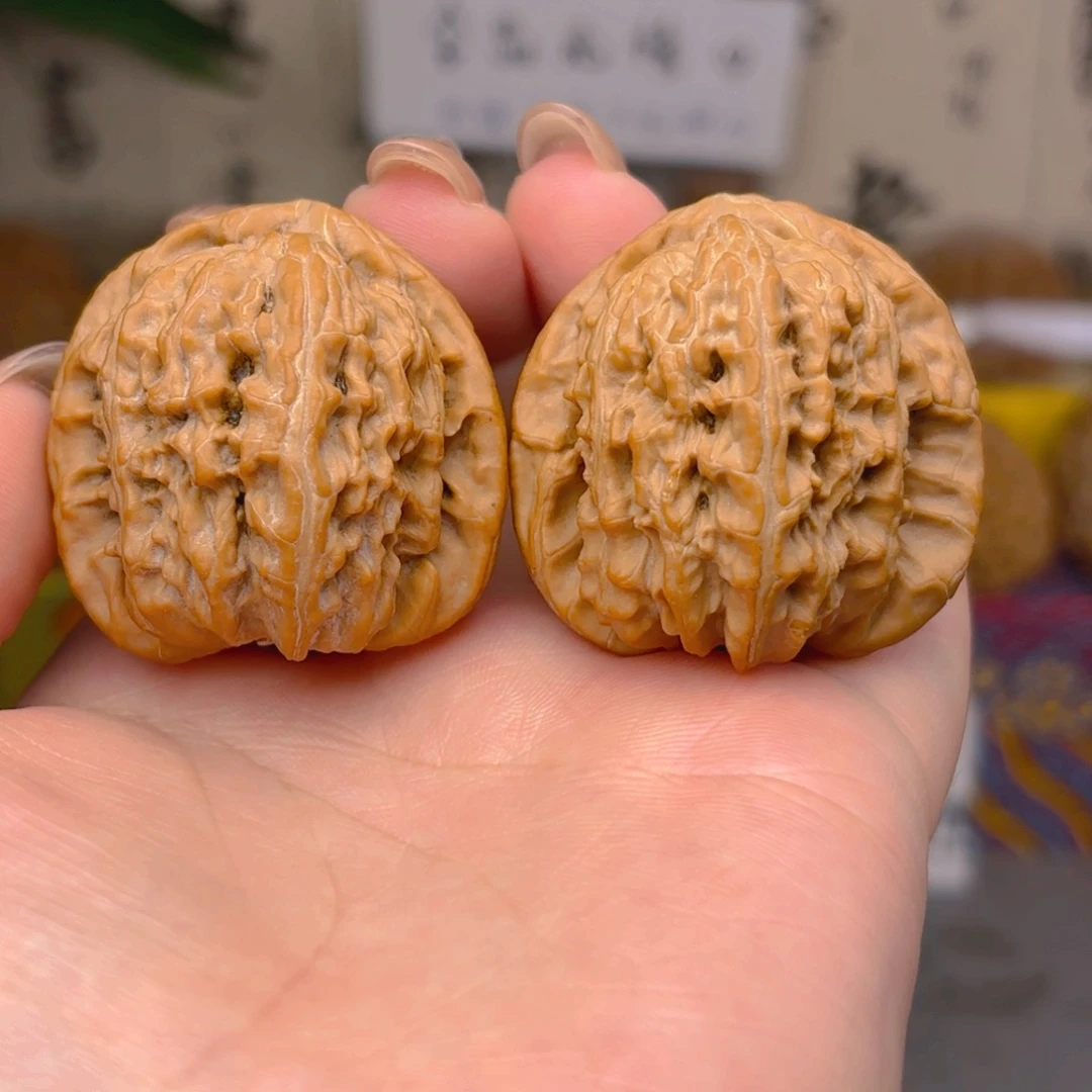 白狮子头三十八尺