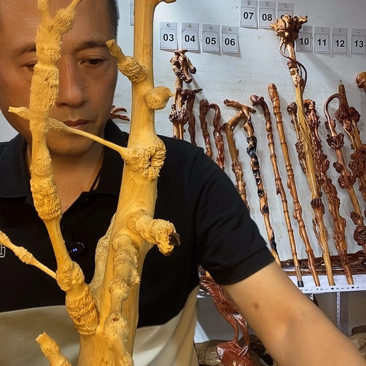 耿***宝黑果木云南黑果木树榴摆件