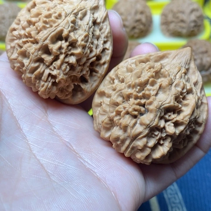 文玩核桃原桩官帽43