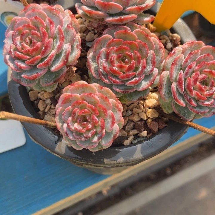 凡***静1285 0000000000000000