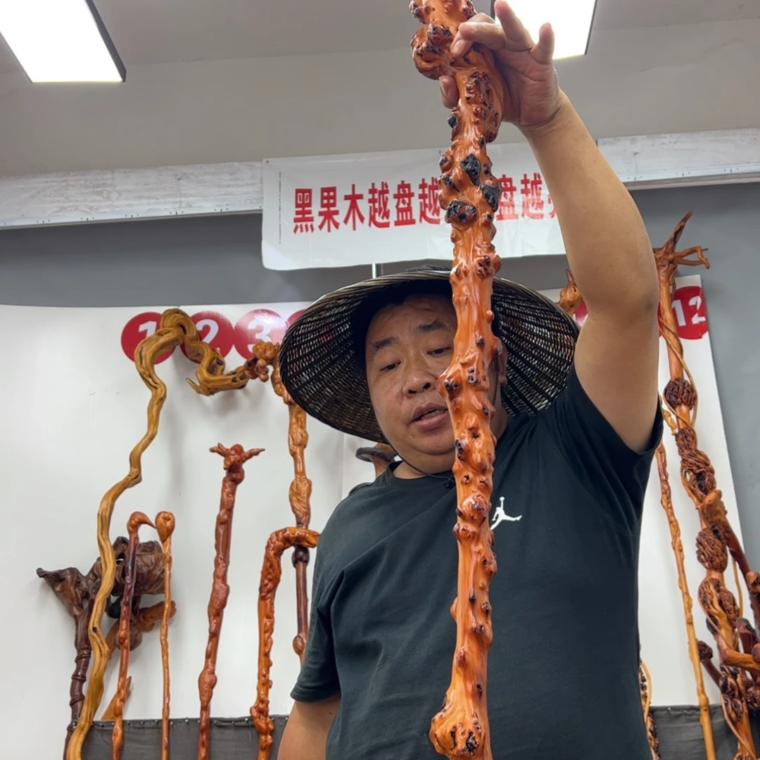 蒲***】黑果木其他黑果木261