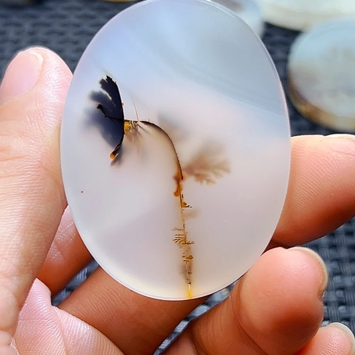 红***鱼未镶嵌玛瑙/玉髓珠宝半成品