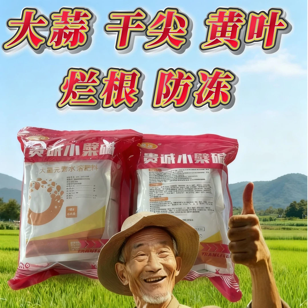 解决大蒜花生干尖黄叶烂根抗冻的问题使用后大蒜叶绿秆粗根多根壮