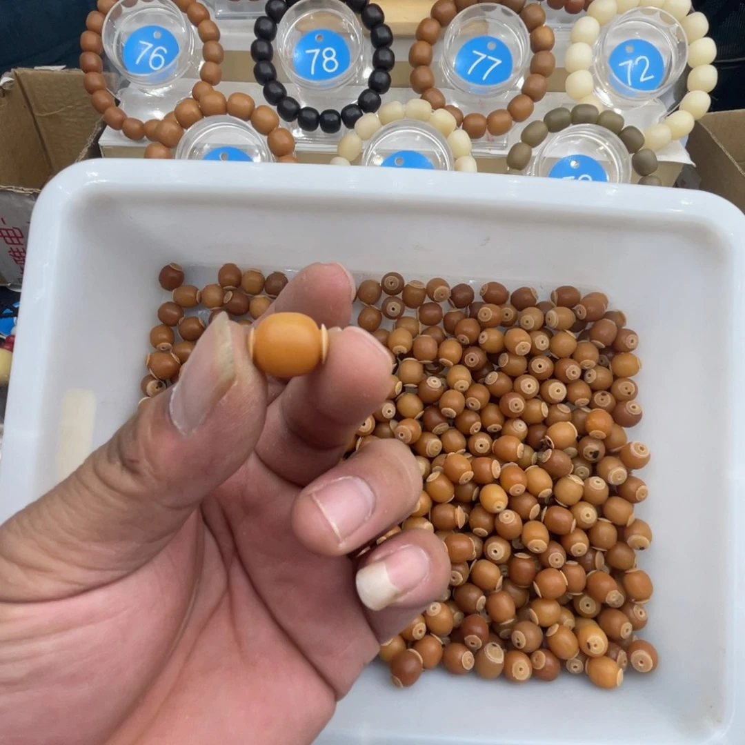 清***号菩提根手串一条卡11同色