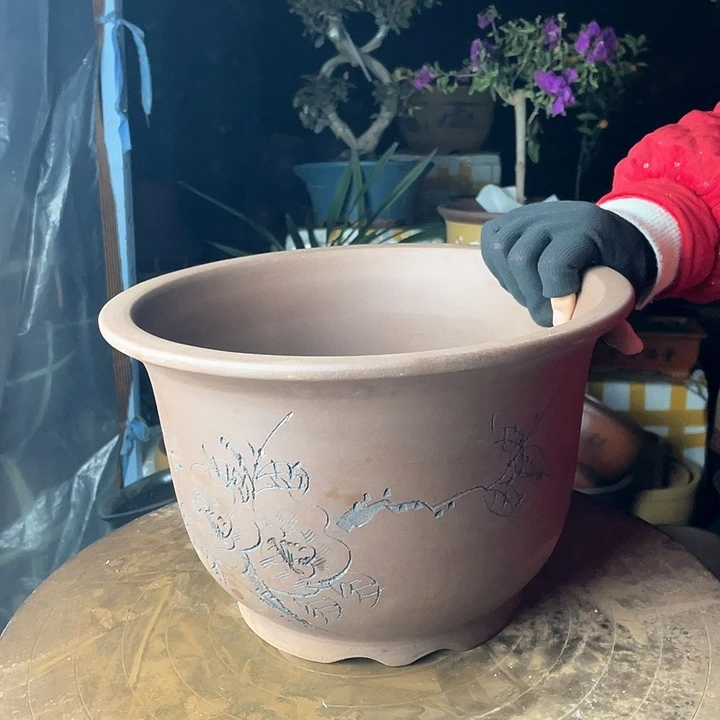 紫砂30平角金钟华哦华哦