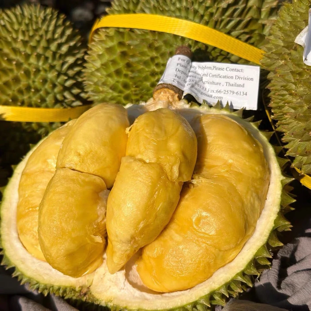 【明日达1号】正宗泰国金枕A级榴莲新鲜整果发货一果一拍3斤+核小皮薄肉厚金枕泰国东部