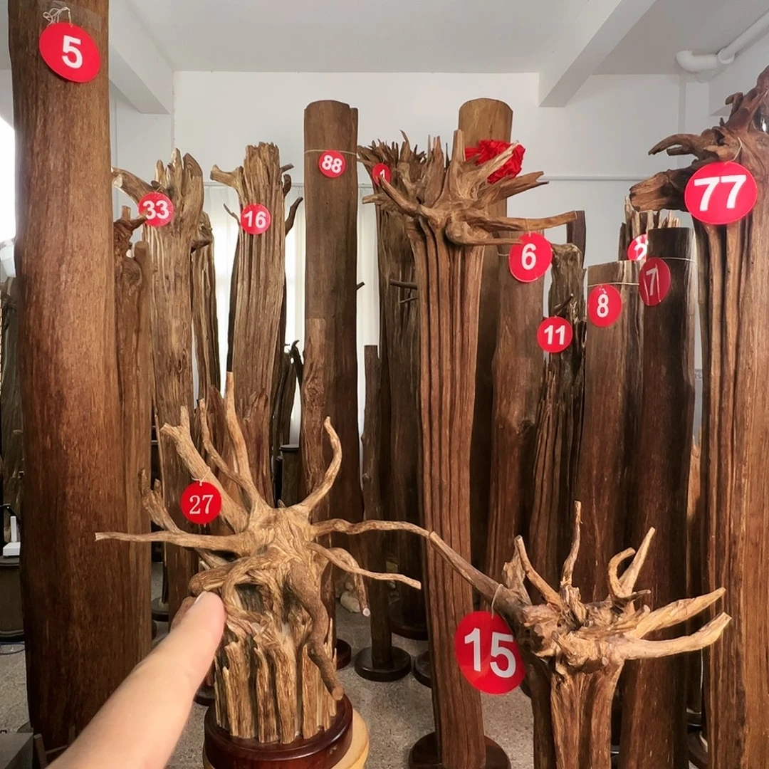 v***t沉香摆件沉香原料H