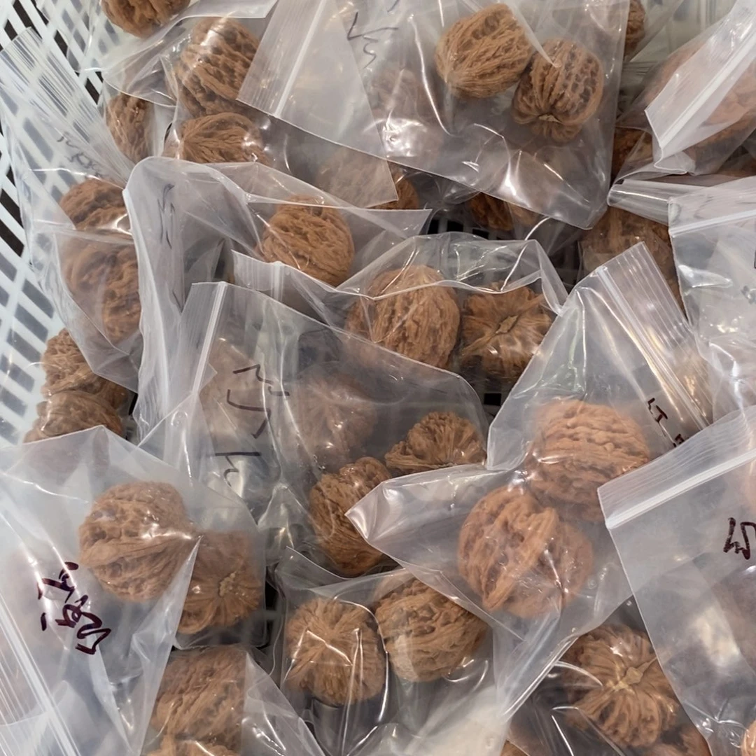 文玩核桃吊坠密纹