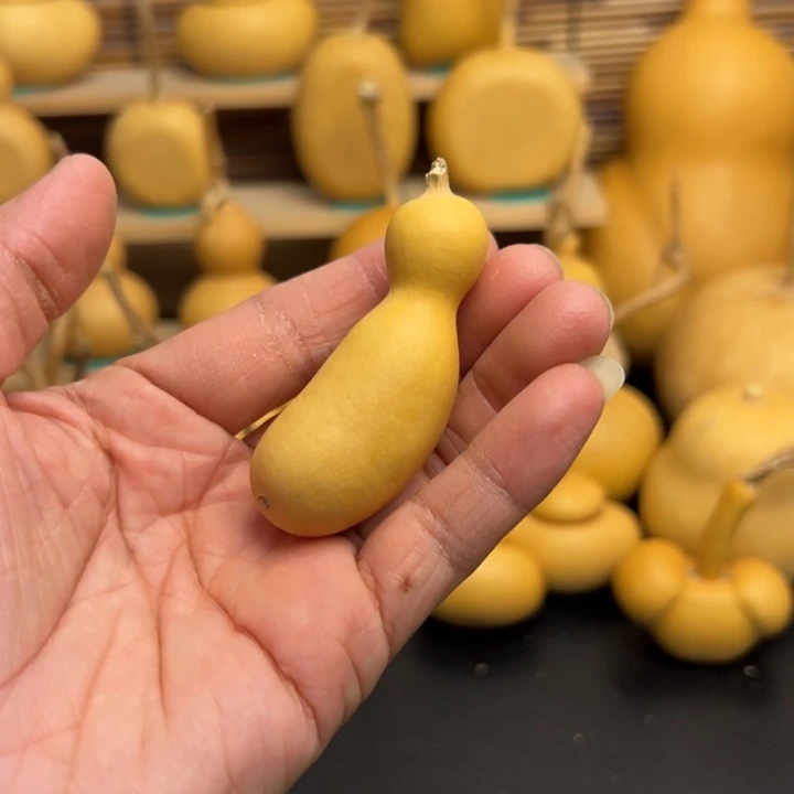 向*葫芦葫芦葫芦葫芦葫芦葫芦葫芦