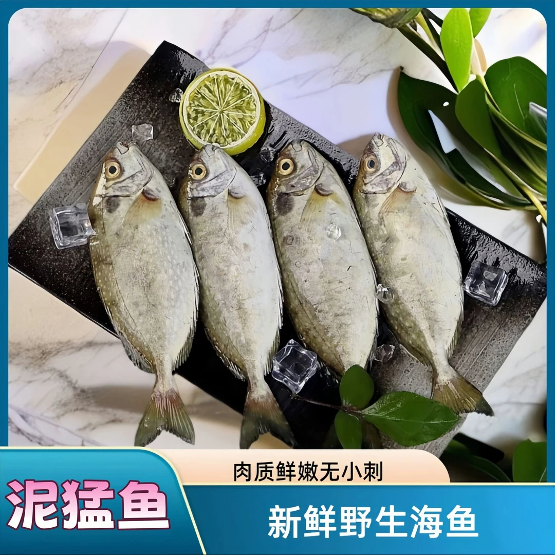 汕头海门港海鲜 泥猛鱼 黄T鱼 广东省顺丰冷链包邮