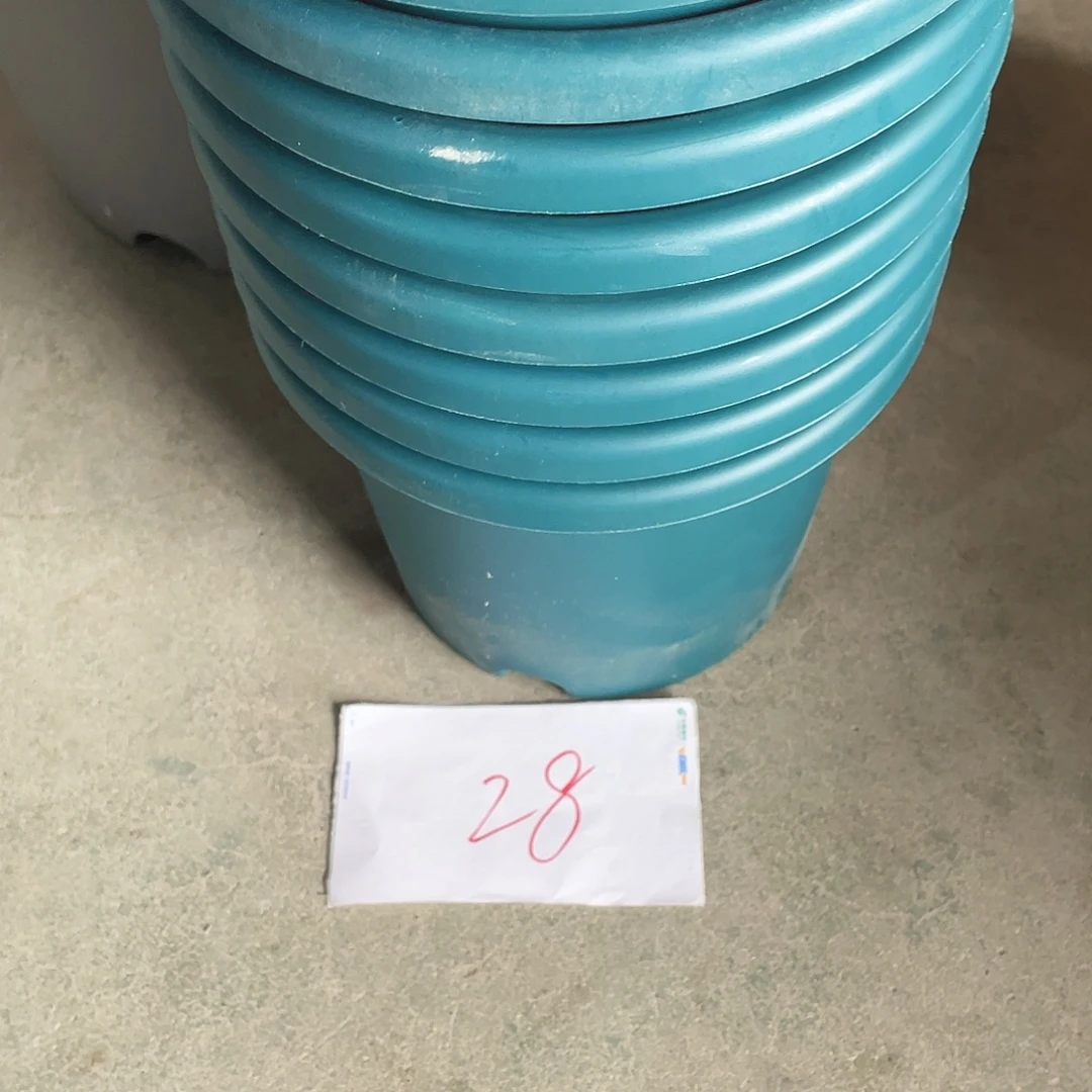 编号是28号的28号的