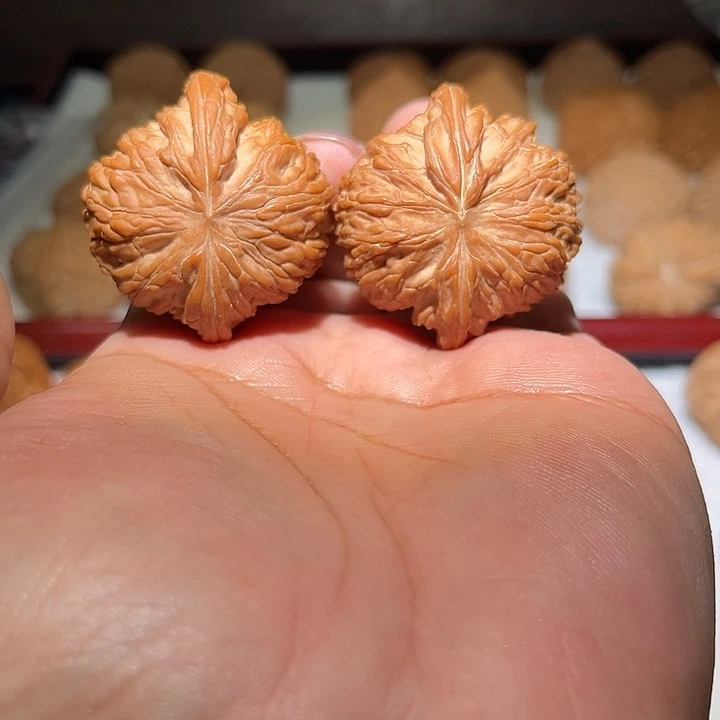 ╰***ˇ木43磨盘。