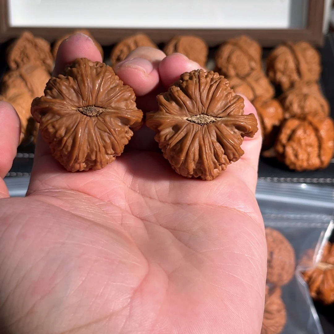 核桃手串/手链42全品球白