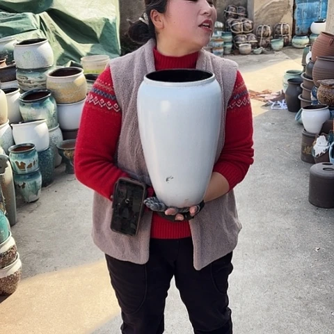 17口33高瑕疵盆子