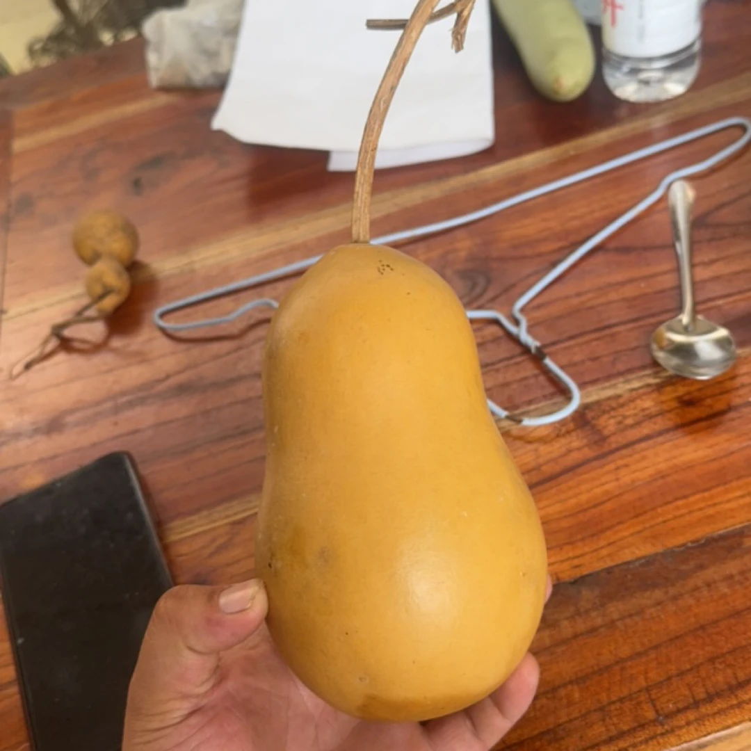 葫芦大王冬瓜葫芦文玩