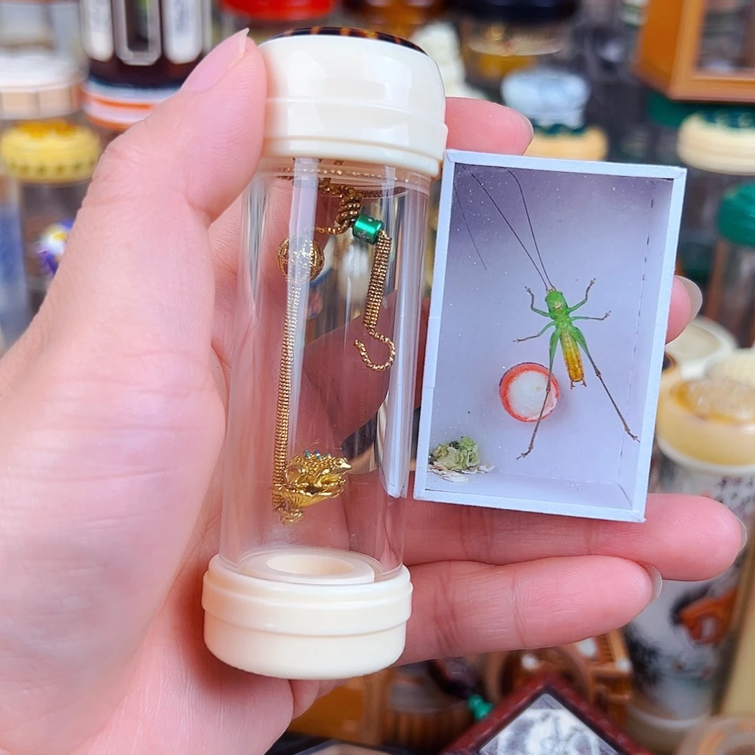 掌中宝一套配糖果过虫器