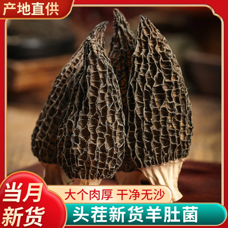 宝宝专属正宗羊肚菌汤营养炖汤美味食用干净组合方便