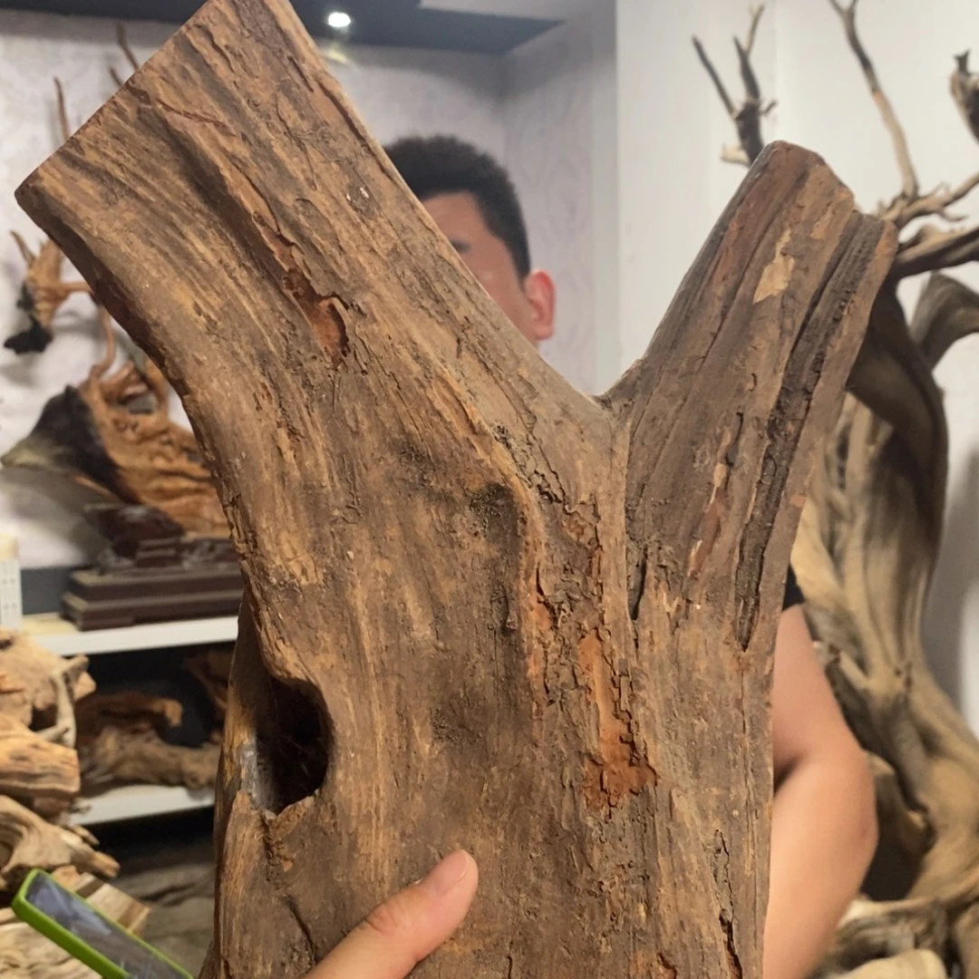 柏木一**花我们都是好孩子