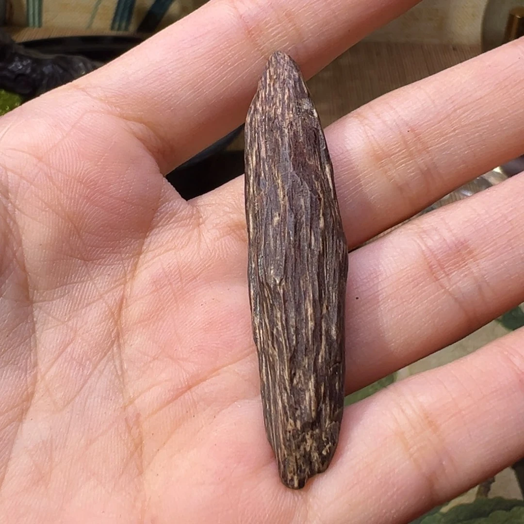 香榧木木料达拉干沉水老料3.7克