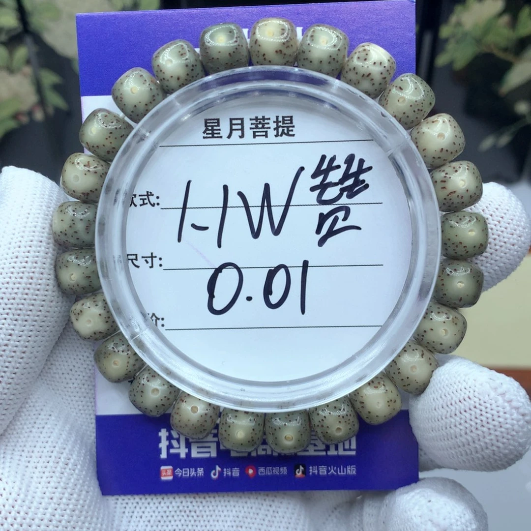 星月菩提吊坠A333333333333