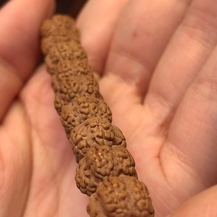 吊坠金刚菩提花王单圈