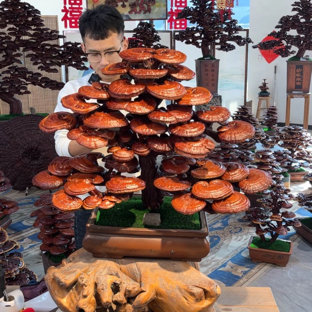 【闪购商品】88888