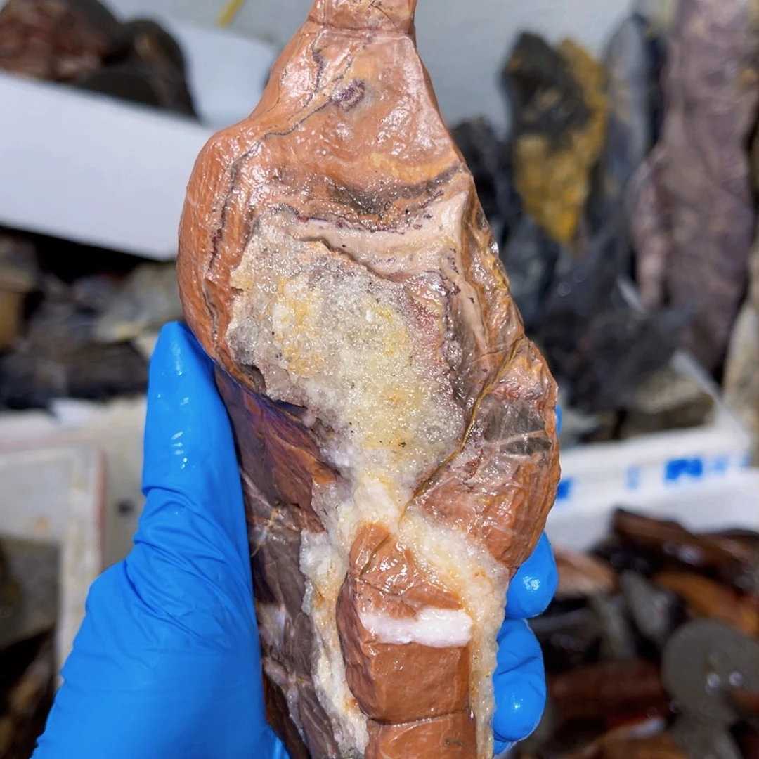 用****1附石盆景一物一拍