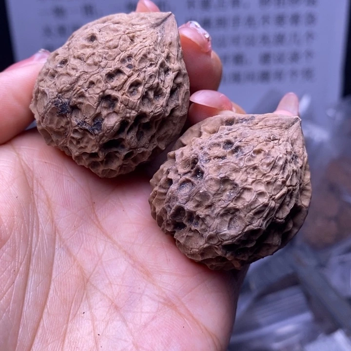 核桃云南野生铁核桃6号42mm