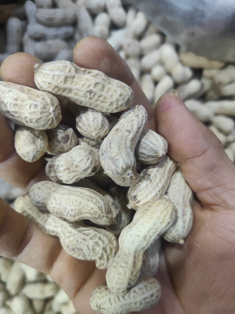 原味红衣干花生两斤