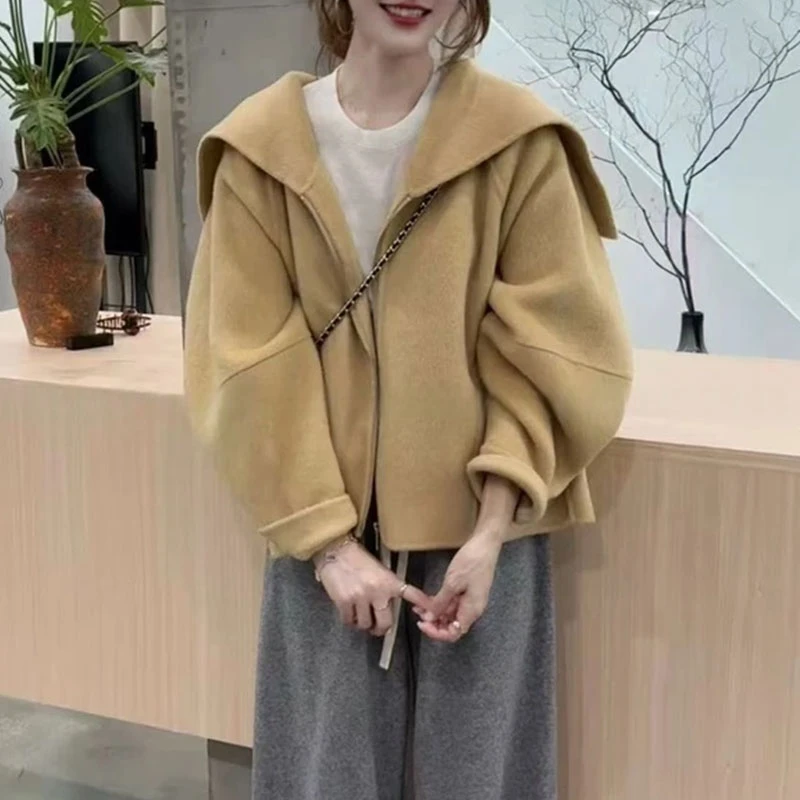 2025秋新款韩系休闲设计感大翻领外套女通勤百搭洋气显瘦潮流上衣