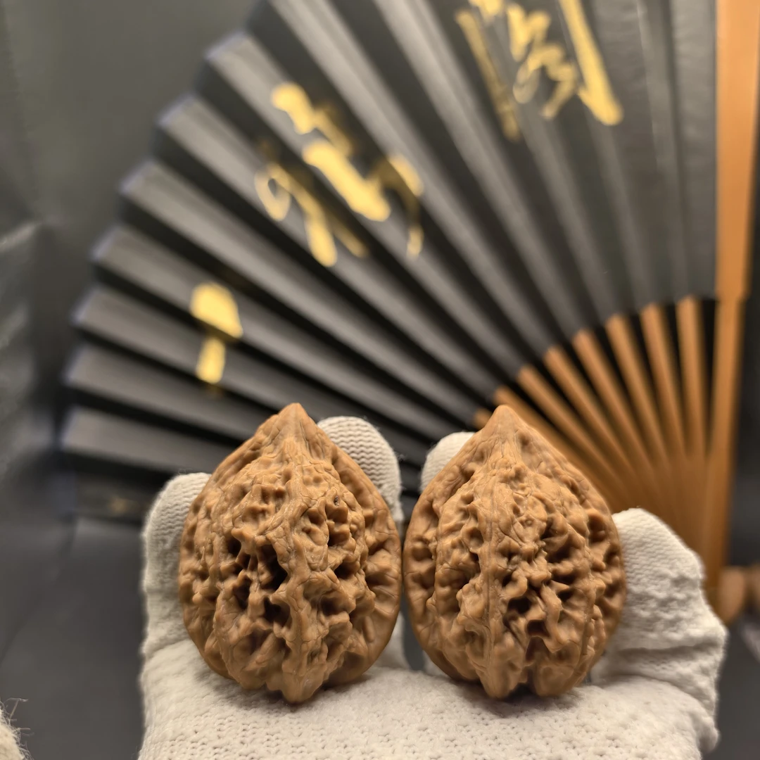 全品精对 大沽石核桃 41边41肚51高 原生态天然文玩 新果狮子头