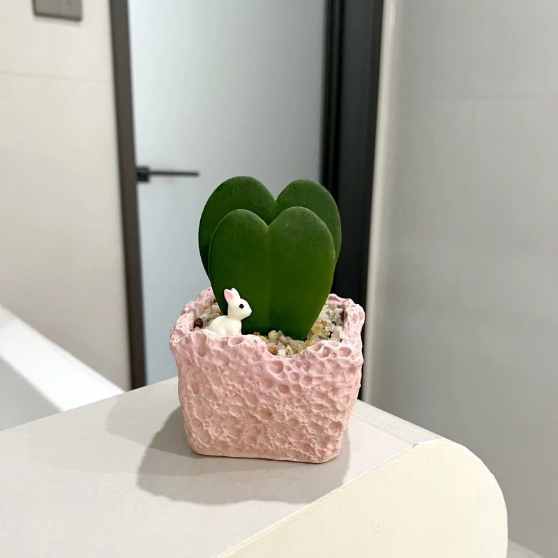 【喜半阴】心叶球兰小盆栽室内桌面多肉绿植好养情人节送礼好看植物