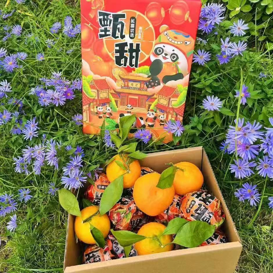 【礼盒】【Z】【甄甜耙耙柑】（带箱9斤左右）仅太原六城区榆次可拍