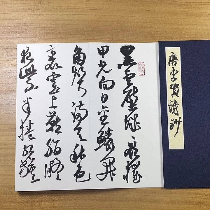 书法中书协会员作品