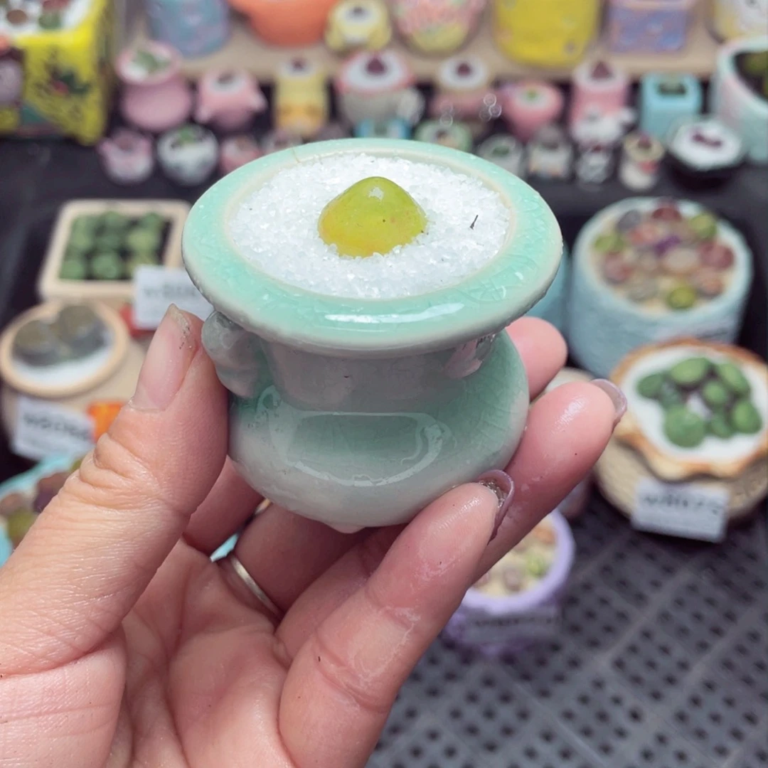 w8080 带盆土发货-零下地区拍保温箱