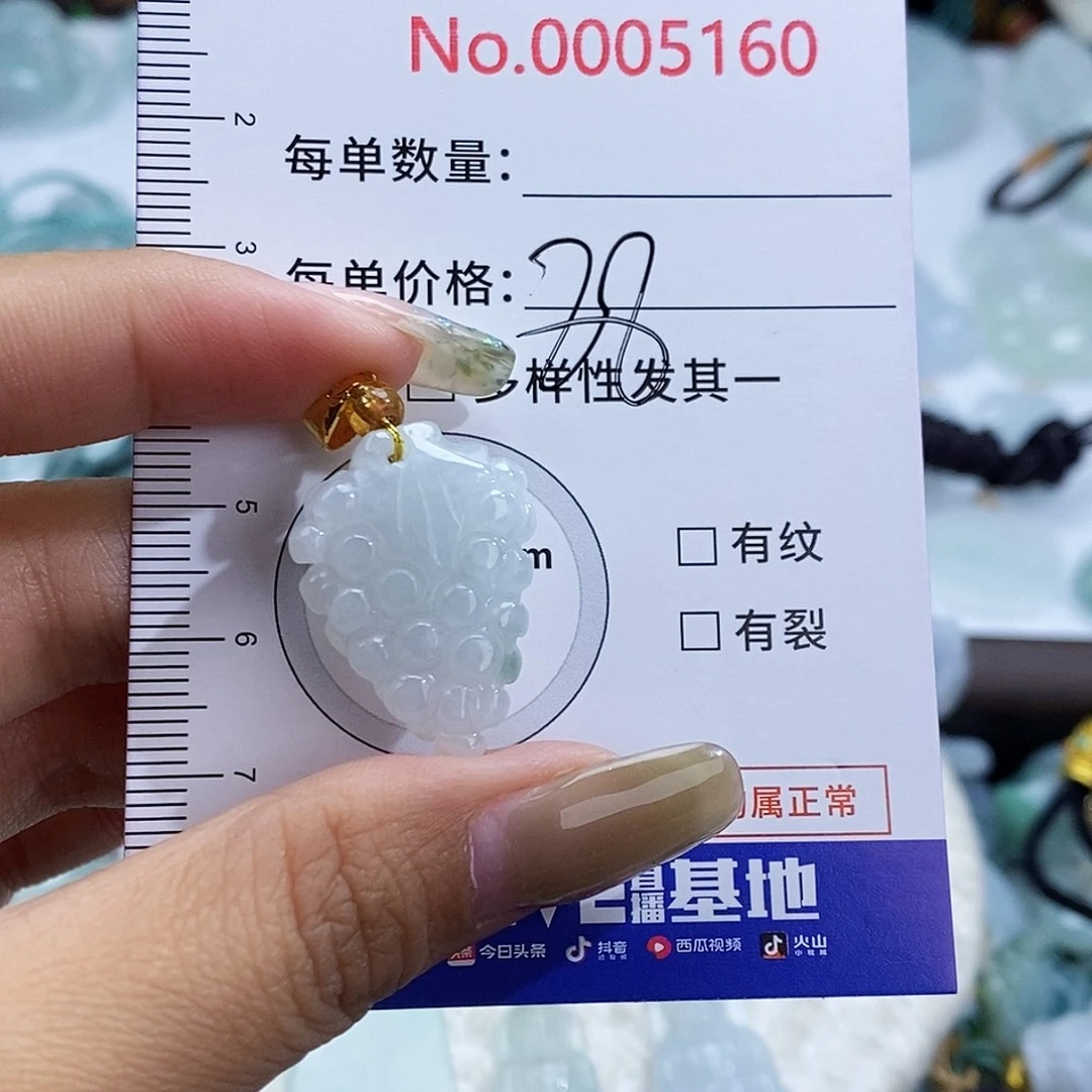 翡翠未镶嵌颈饰5160