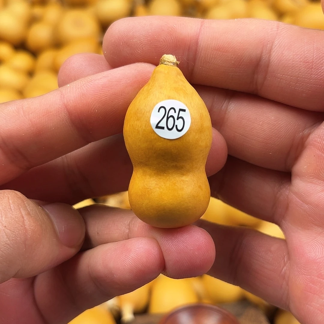 一葫芦葫芦葫芦葫芦265