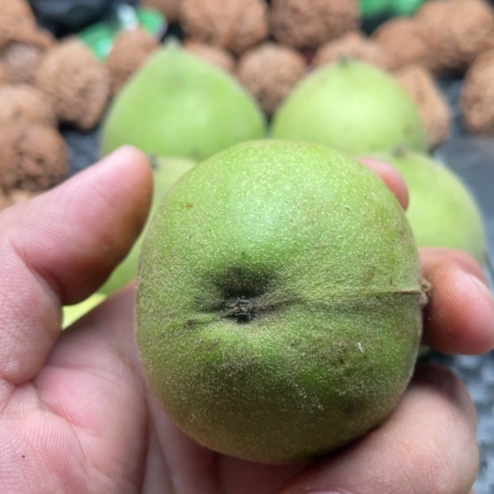 狂***胖文玩核桃把件青皮