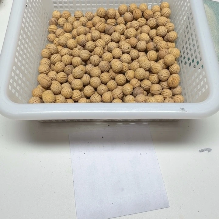电***包吊坠桃核野生小核桃12