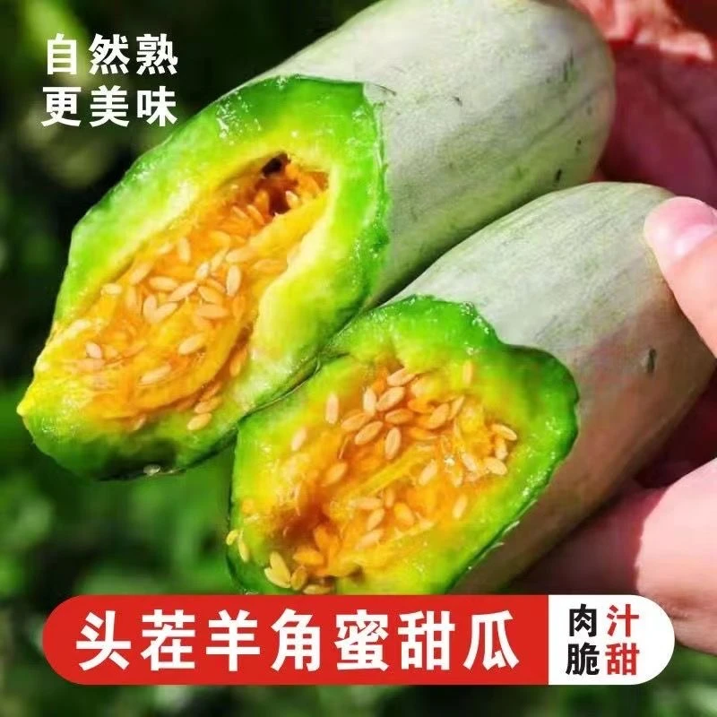 【爆脆甜】头茬羊角蜜甜瓜现摘现发