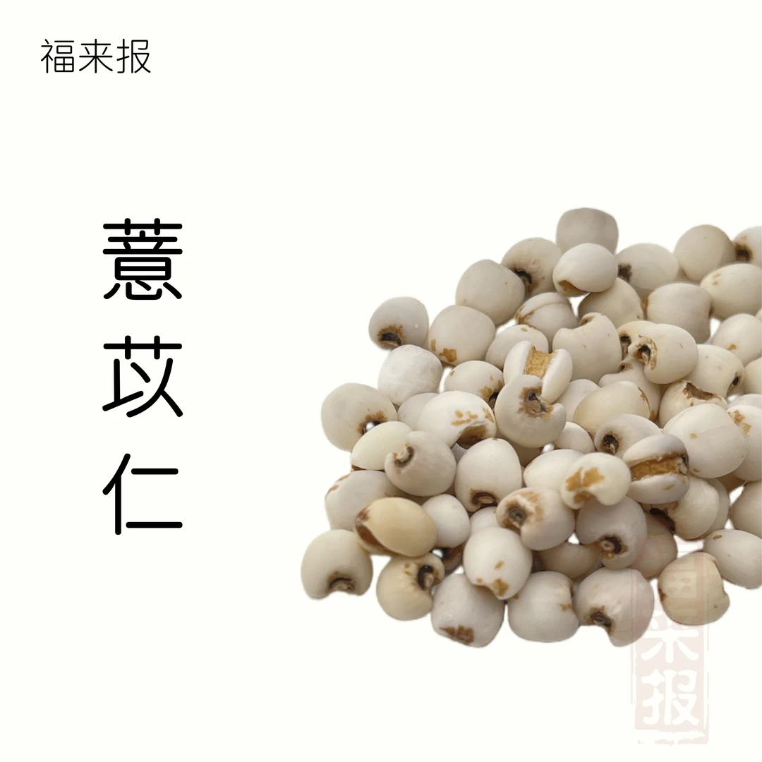 薏苡仁贵州农家茯苓薏仁米去壳小薏米五谷杂粮煲粥食材