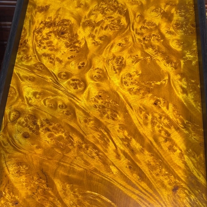 木黄金樟留疤超大托盘