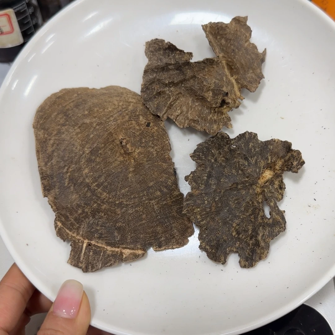 沉香摆件海南野生沉香铁顶块料12.8