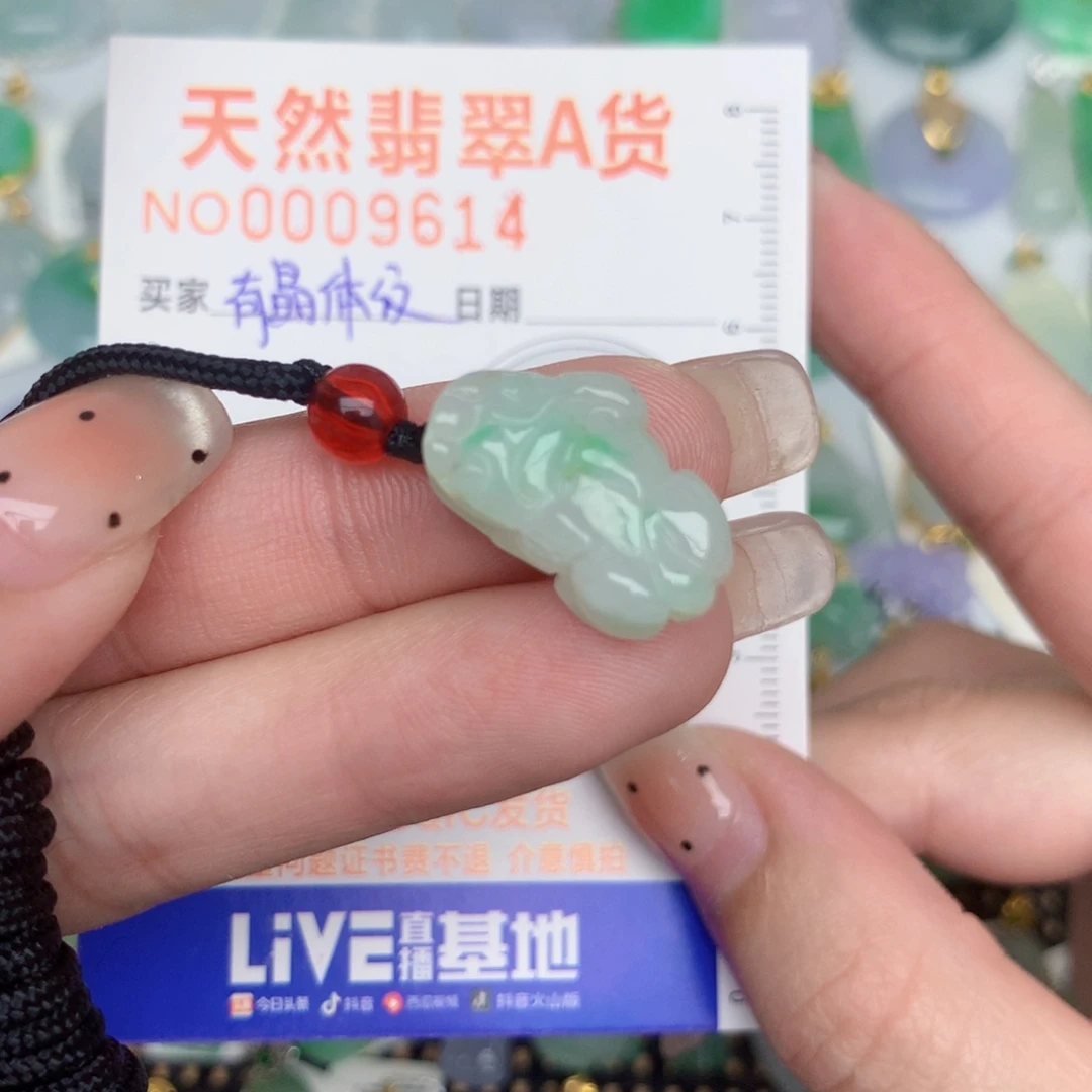 翡翠未镶嵌颈饰貔貅