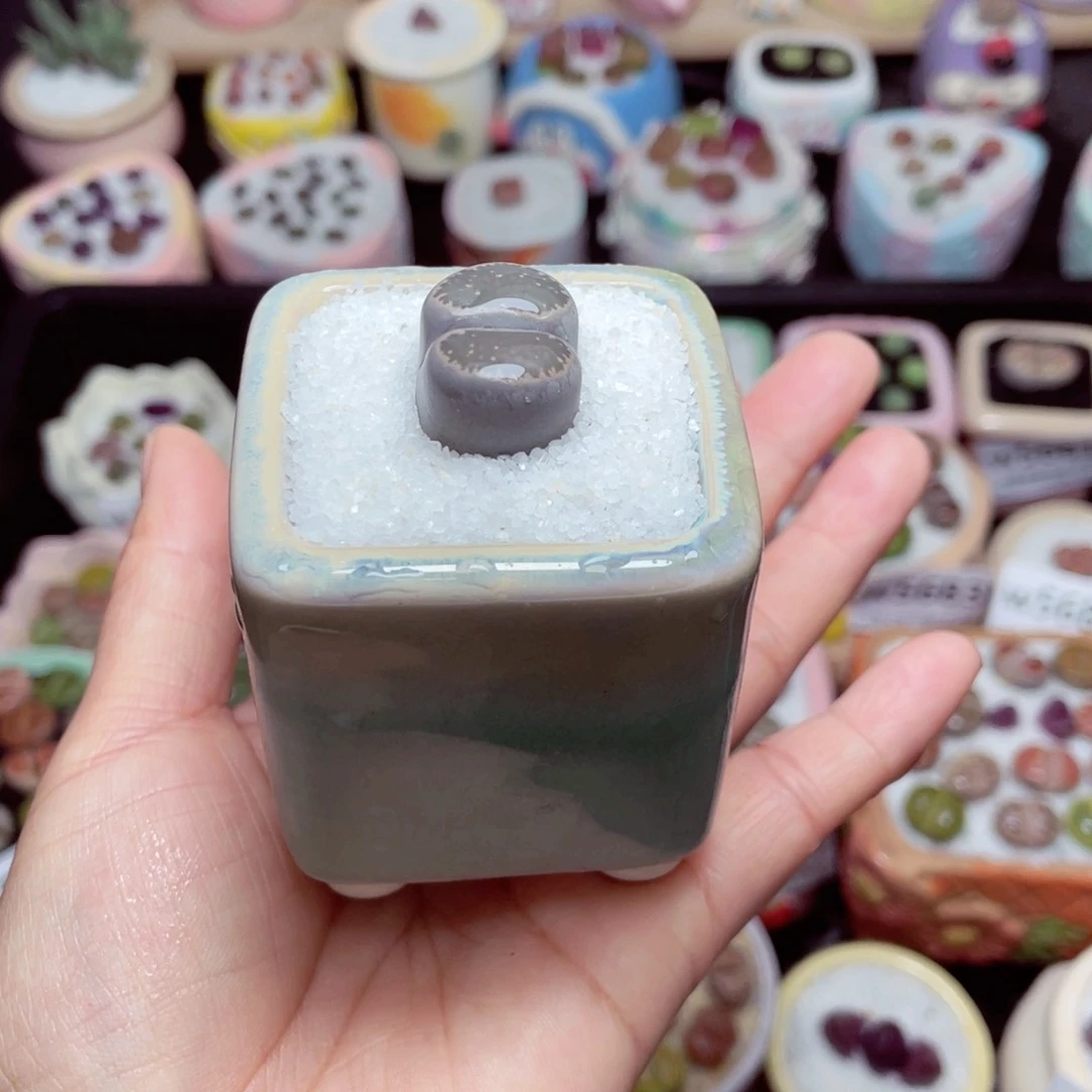 w5696 -零下地区拍保温箱-15支持寄养