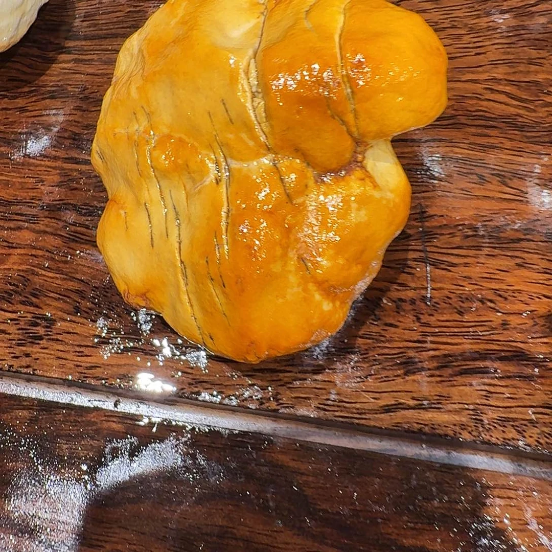 星***卡昌化石印石奇石奇石