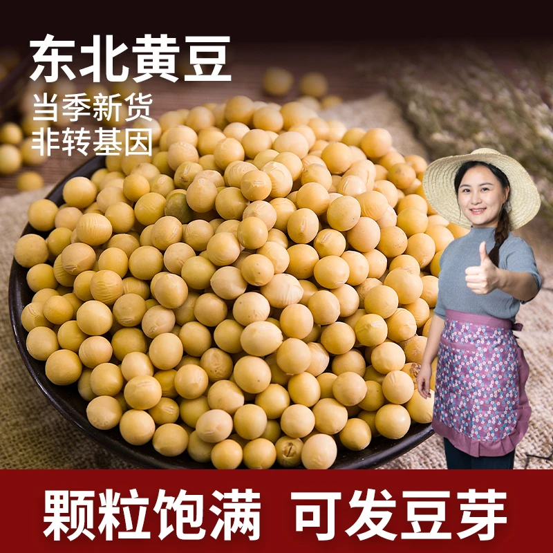东北黄豆当季新货非转基因新豆打豆浆生豆芽米糊炖汤蒸菜
