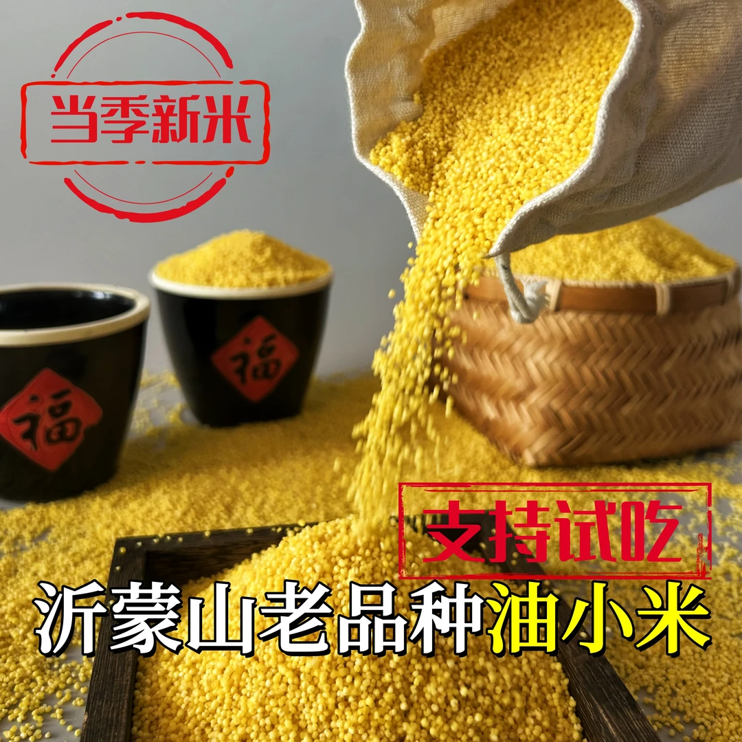 【25年新米】沂蒙正宗农家黄小米精选粗粮营养早餐粥月子米宝宝米