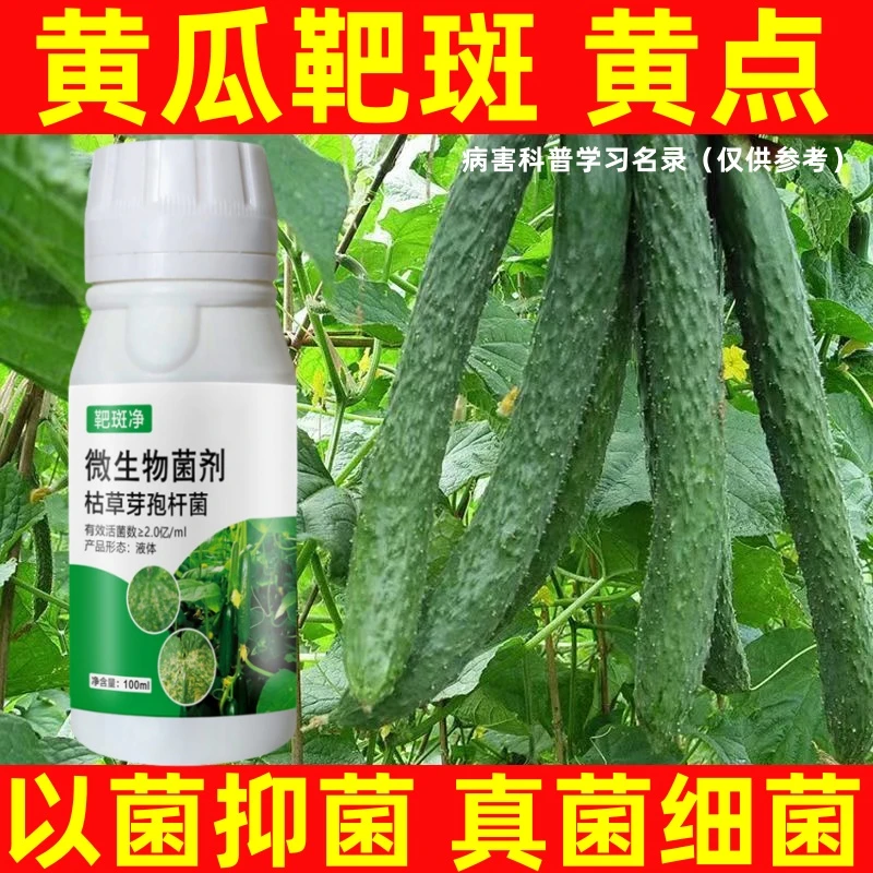 黄瓜靶斑净正品黄瓜黄叶角斑病灰霉病霜霉病农用靶斑净微生物菌剂